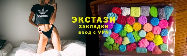 mdpv Краснослободск