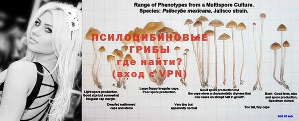круглые Абаза